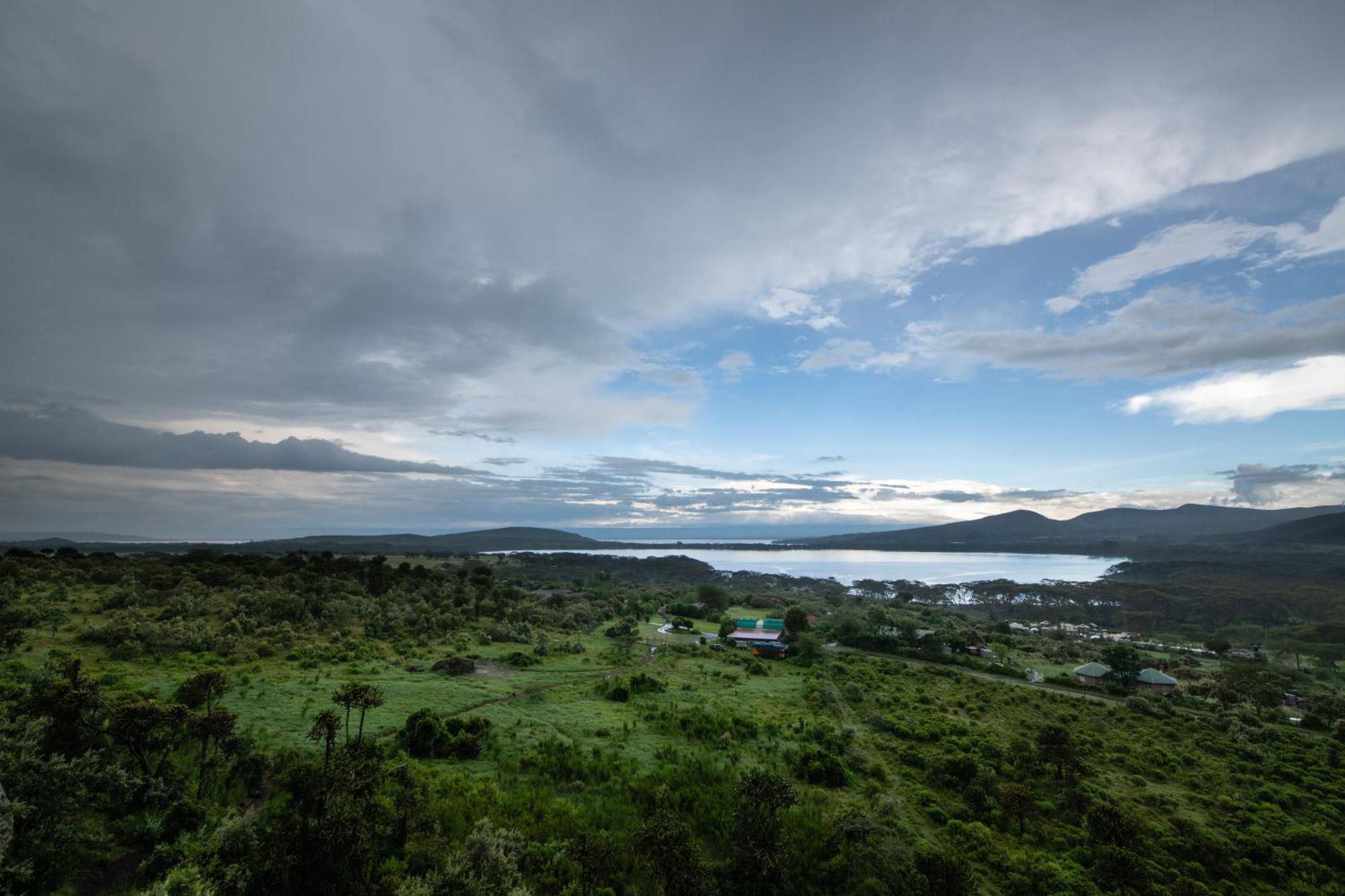 Naivasha Kongoni Lodge - Lakefront Getaway Екстер'єр фото